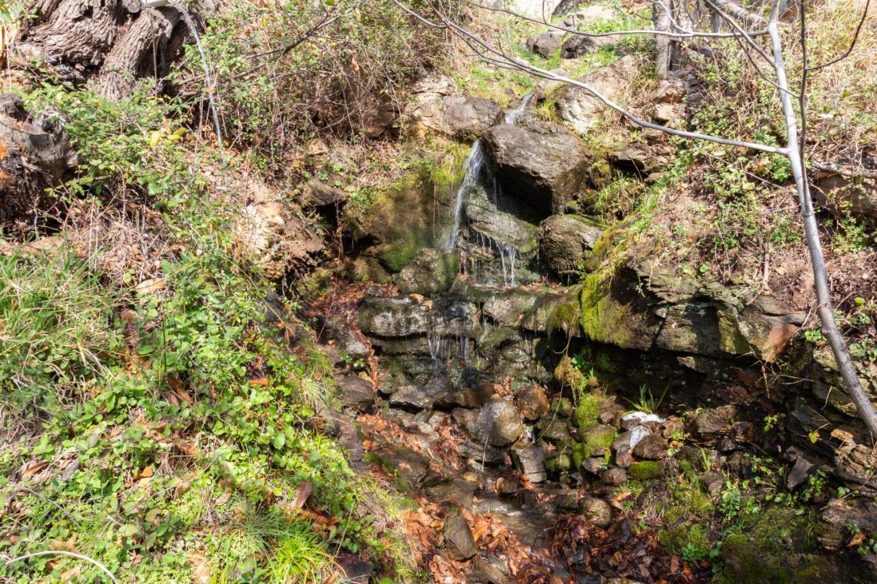 Cortijo La Encinilla Βίλα Lanjarón Εξωτερικό φωτογραφία